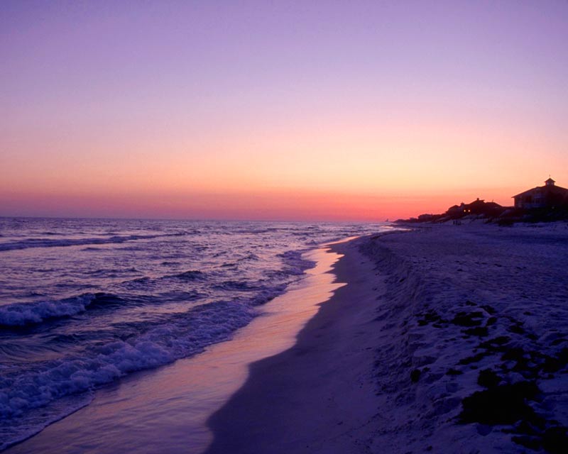 My Beach Living